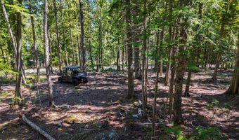 Swan Shores Lane, Bigfork, MT 59911