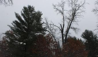 VL Good. Road, Alger, MI 48610