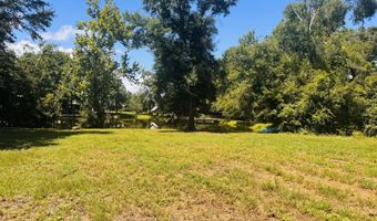 1042 Lake Cadeli Rd, Bartow, GA 30413