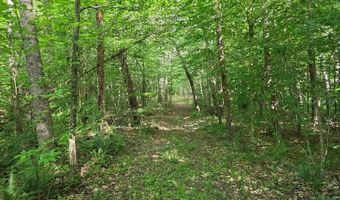 1408 Coleman Mountain Rd, Appomattox, VA 24522