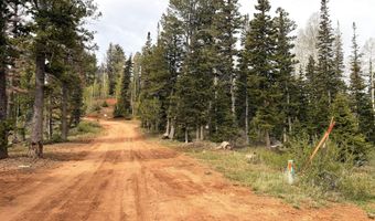 646 W Ski View Dr, Brian Head, UT 84719