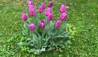 412 11th St NW, Albuquerque, NM 87102