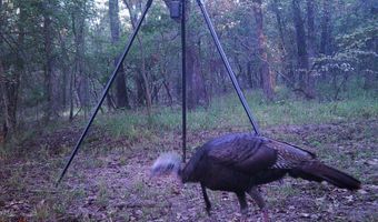 13489 S Center Point Rd, Atoka, OK 74525