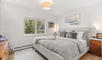 326 Midland Ave 308, Aspen, CO 81611