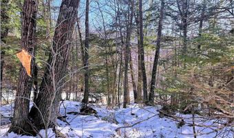 Lot 30 Bell Valley Road, Campton, NH 03223