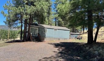 450 County Road 2104, Alpine, AZ 85920