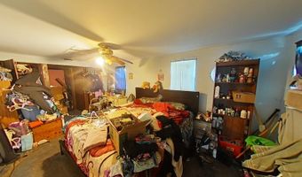 709 ALTON Ave, Orlando, FL 32804