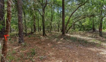 SE 152ND - RAVENSWOOD RD PARCEL B & C LOTS 16 17 Place, Altoona, FL 32702