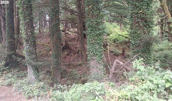 Picture Windw Lane, Arch Cape, OR 97102