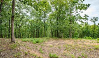 100 Block SPANISH MINE, Jessieville, AR 71909