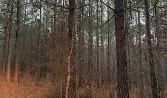 Piney Mountain Road lot 7, Appomattox, VA 24522