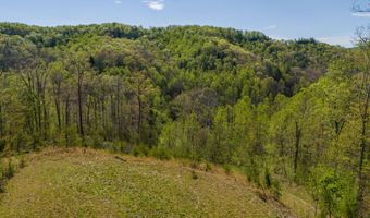 22 Still Hand Ln, Beattyville, KY 41311
