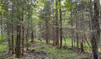 County Road Y, Aniwa, WI 54408