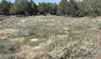 9188 W Gleed Station Rd, Ash Fork, AZ 86320