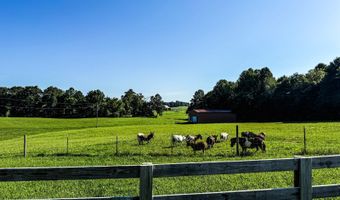 6575 Summershade Rd, Beaumont, KY 42124
