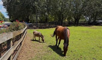 3204 Reavis Mountain Rd, Ball Ground, GA 30107