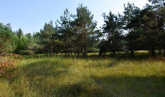 9537 LAKEVIEW, Alanson, MI 49706