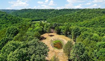 2926 Bryant Ridge Rd, Baxter, TN 38544