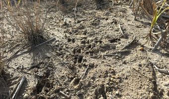 00000 CR 140, Alexander, KS 67513