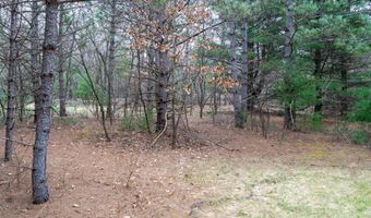 255 45 Ac Dover Dr, Adams, WI 53910