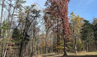 Parcel A DULWICH DR, Amherst, VA 24521