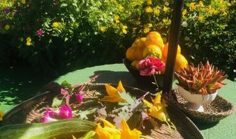 44800 Ahwahnee Acres Rd, Ahwahnee, CA 93601