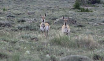 nhn Ranger Way lot Bvr 942-3, Belfry, MT 59008