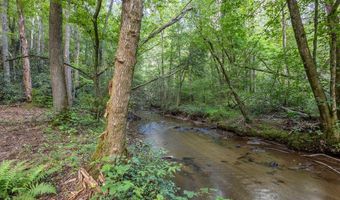 23 59 Ac Chestnut Flats Rd, Andrews, NC 28901