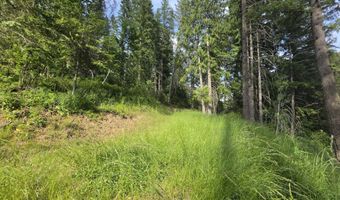480 Dunn Peak Rd, Avery, ID 83802