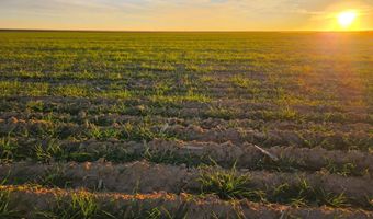 TBD Shumaker Rd, Bennett, CO 80102