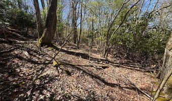 62 Acres Buckeye Ridge Rd, Beech Mountain, NC 28604