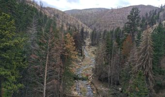 122 Black Hollow Rd, Bellvue, CO 80512