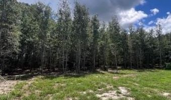 4899 36th St, Bell, FL 32619