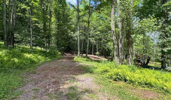 Woodland Hills Road, Andes, NY 13731