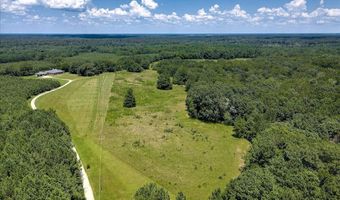 6925 Cobbham Rd, Appling, GA 30802