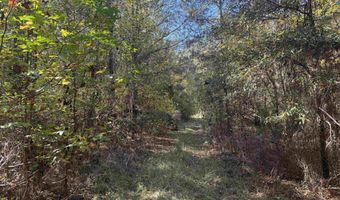 793 Puncheon Creek Dr, Andrews, SC 29510