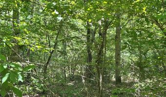 Kaw Court, Annapolis, MO 63620