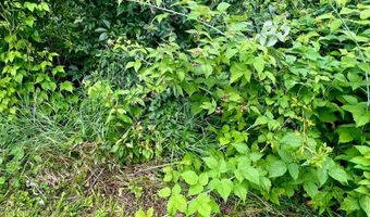 166 Manny Corners Rd, Amsterdam, NY 12010