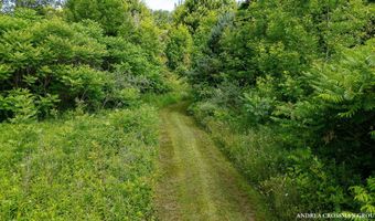 9325 S Cedar Dr, Allendale, MI 49401