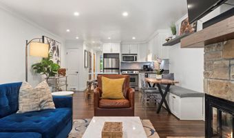 100 E Dean St 2D, Aspen, CO 81611