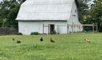 1107 Lower Ford Rd, Ava, MO 65608
