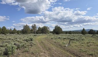 Fishhole Creek Road, Bly, OR 97622