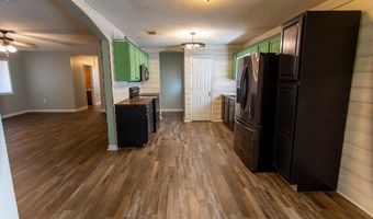 174 Perch St, Alma, GA 31510