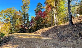 35 36 Cahill Dr 35&36, Andrews, NC 28901