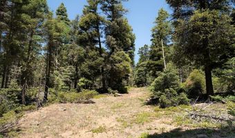 97 Zia Rd, Angel Fire, NM 87710