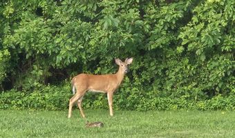 1203 ASHMEAD Sq, Belcamp, MD 21017