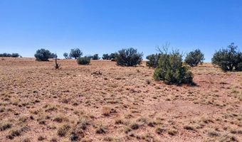Lot 44 Ranch Of The White Mountains N9119, Concho, AZ 85924