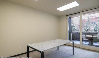 625 E Main St 204, Aspen, CO 81611