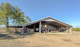 19593 Hwy. 80, Hickory, MS 39332