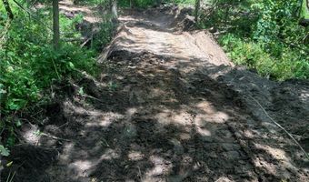 N3953-89 Bear Pen Road, Arkansaw, WI 54721